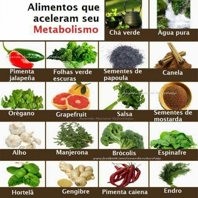 metabolismo de hidratos de carbono Natural