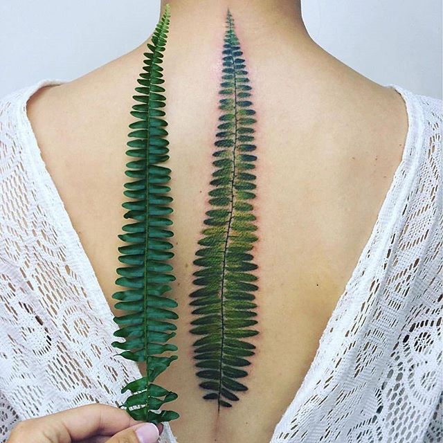 Awesome Tattoo Idea By Pissaro Tattoo Would You Love One Realistic Flower Tattoo Spine Tattoos Fern Tattoo Awesome Tattoo Idea By Pissaro Tattoo Would You Love One Realistic Flower Tattoo Spine Tattoos Fern Tattoo