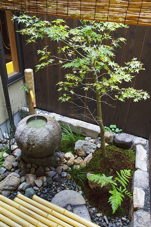 Backyard ideas, create your unique awesome backyard landscaping diy inexpensive ...