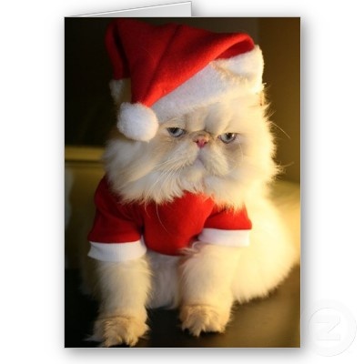 Multicolor 16x16 Christmas Santa Kitten Xmas Kitty Costume Ho Cat Santa Hat Lazy Feline Owner Anti-Holiday Kitty Throw Pillow Multicolor 16x16 Christmas Santa Kitten Xmas Kitty Costume Ho Cat Santa Hat Lazy Feline Owner Anti-Holiday Kitty Throw Pillow