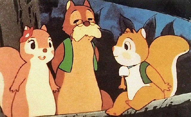 Puschel Das Eichhörnchen Puschel Das Eichhörnchen