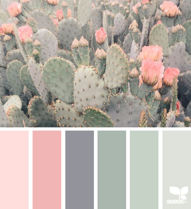Bedroom Color Palette Ideas best 25+ color palettes ideas on pinterest | color pallets Bedroom Color Palette Ideas best 25+ color palettes ideas on pinterest | color pallets