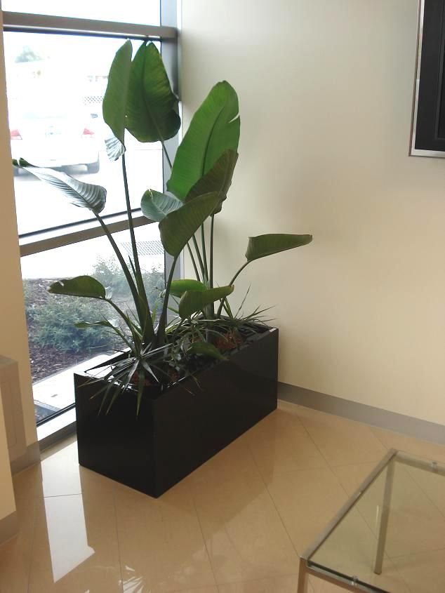 Best 25+ Fiberglass planters ideas only on Pinterest | Urn ... Best 25+ Fiberglass planters ideas only on Pinterest | Urn ...