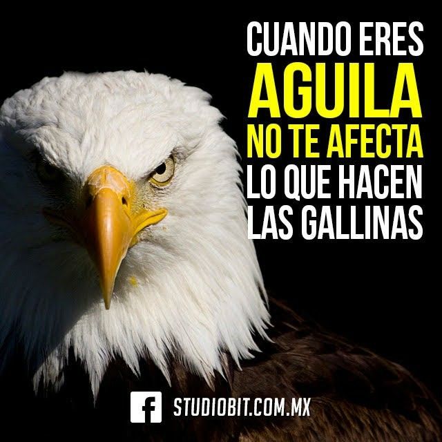 Por favor escriba un email válido