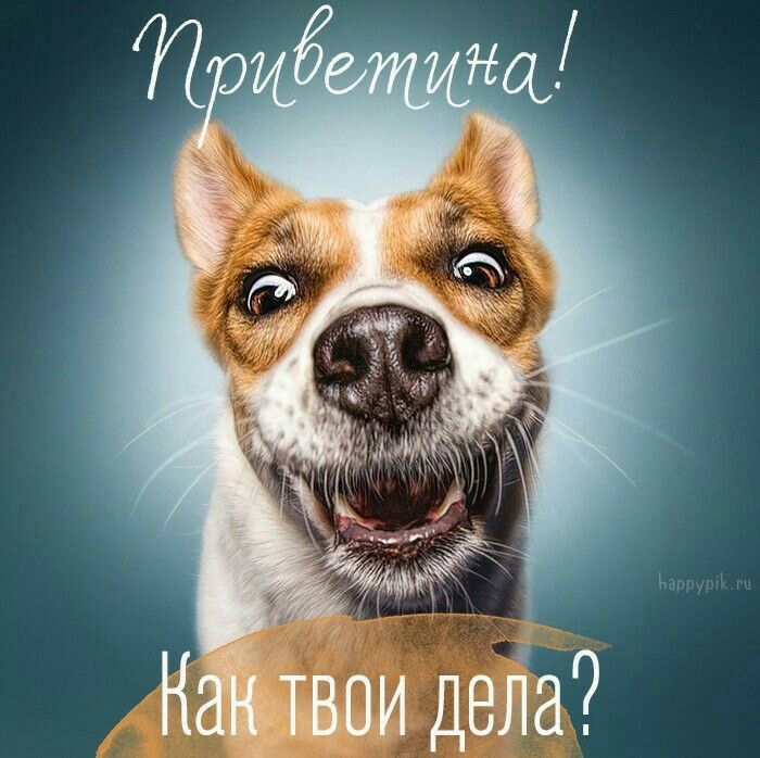 Твое Прикольное Фото Твое Прикольное Фото