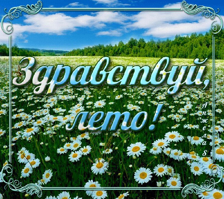 Картинки лето пришло, картинки