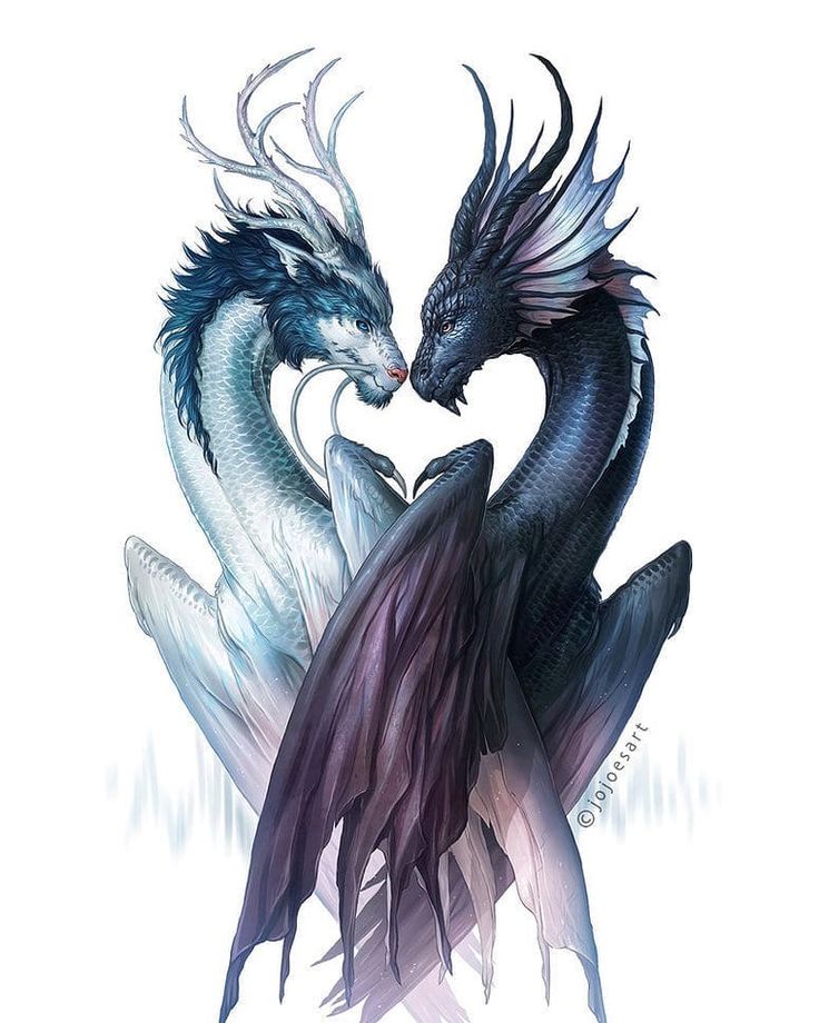 The most beautiful dragon drawings and dragon pictures The best of