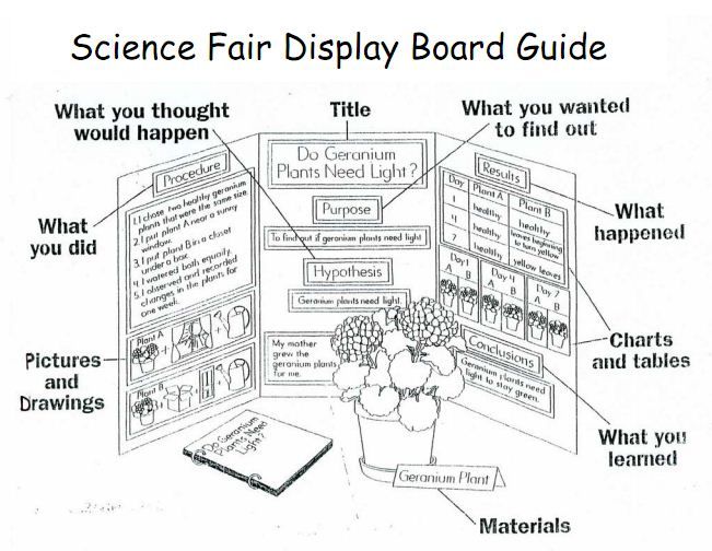 science projects layout