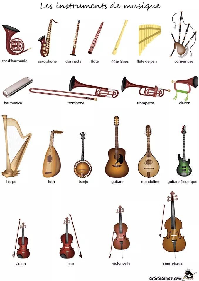 Pin De Lucie Sajnerova En Francouzština Instrumentos Musicales Para Niños Aula De Música Educacion Musical