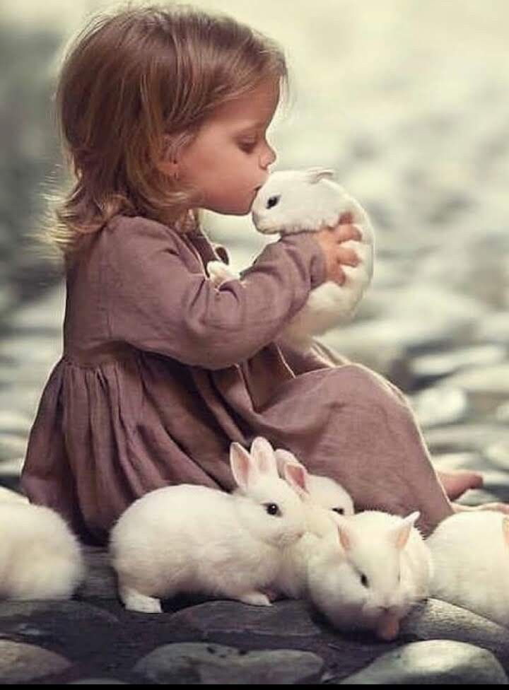 Cute Babies, Cute Pictures, Cute Bunny, Kani, Cute Animals, Panda