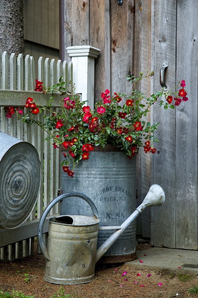 Cabilock Watering Can Iron Pot for Indoor and Outdoor Plant Metal Watering Can Vase Kettle Flower Pot with Heart Pattern Farmhouse Home Decoration Decorative Water Kettle for Office Desk Decoration Cabilock Watering Can Iron Pot for Indoor and Outdoor Plant Metal Watering Can Vase Kettle Flower Pot with Heart Pattern Farmhouse Home Decoration Decorative Water Kettle for Office Desk Decoration