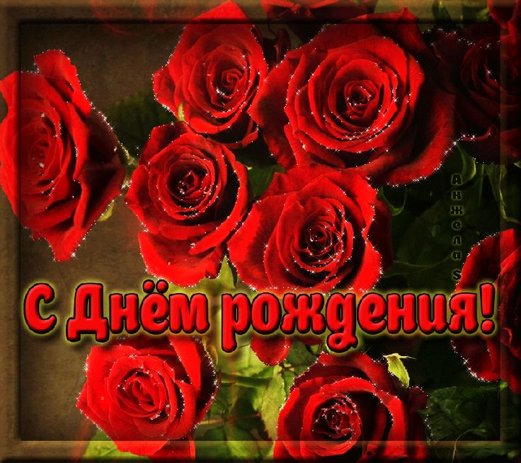 Картинки приколы, открытки с днем рождения анимация