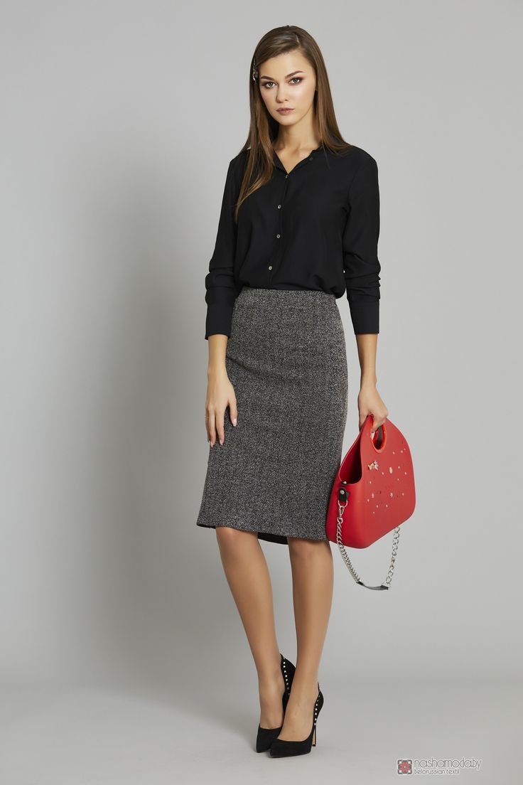 senator skirt and blouse for ladies