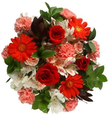 Fresh cut flowers free delivery. Order roses online for the best price. Sent directly from growers. Florist bouquets. Wholesale, bulk Flowers for DIY Weddings and Special Events. Beautiful flowers for Anniversary, birthdays. Best deals on Roses!