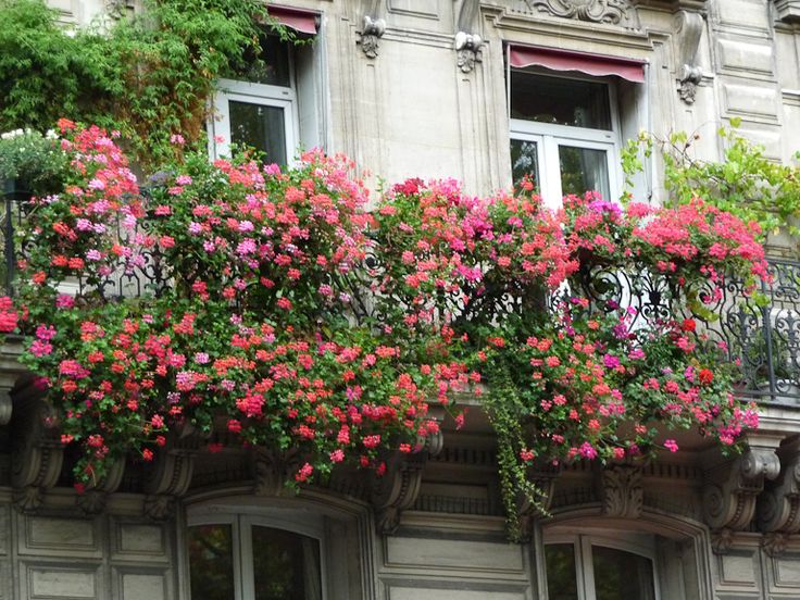 22 best 365 DAYS images on Pinterest Cities, June 19 and State crafts - calculer la surface d une maison 22 best 365 DAYS images on Pinterest Cities, June 19 and State crafts - calculer la surface d une maison