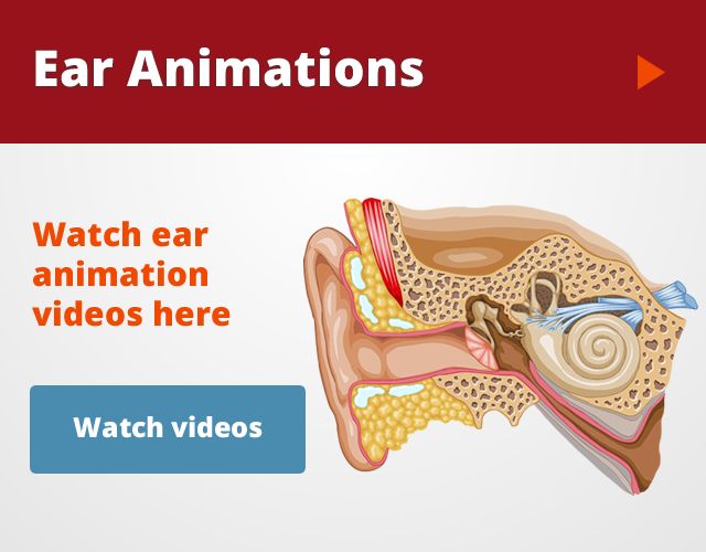 hearing disorders causes and treatments Hearing loss conditions and disorders include tinnitus what causes hearing loss cancer treatments or illness can create deterioration as well. hearing disorders causes and treatments Hearing loss conditions and disorders include tinnitus what causes hearing loss cancer treatments or illness can create deterioration as well.
