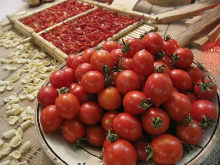 60 graines TOMATE ANCIENNE DES POUILLES FIASCHETTO K111 TOMATO SEEDS Lyc. esc.