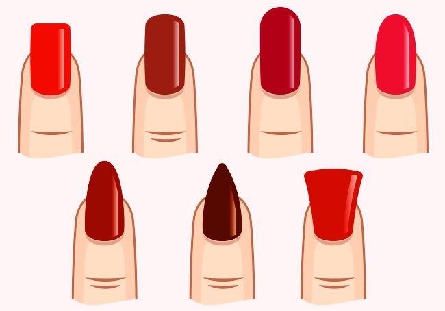 Pin by Arbrore Zekaj on Nails Nail shapes, Fashion nails, Nail length