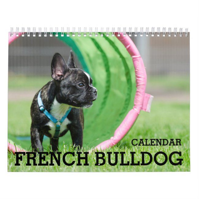 French Bulldog Calendar 2020 Zazzle Com French Bulldog White