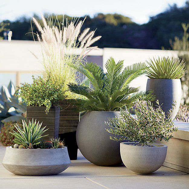 best 25+ tall outdoor planters ideas on pinterest | tall planters ... - Patio Container Garden Ideas best 25+ tall outdoor planters ideas on pinterest | tall planters ... - Patio Container Garden Ideas