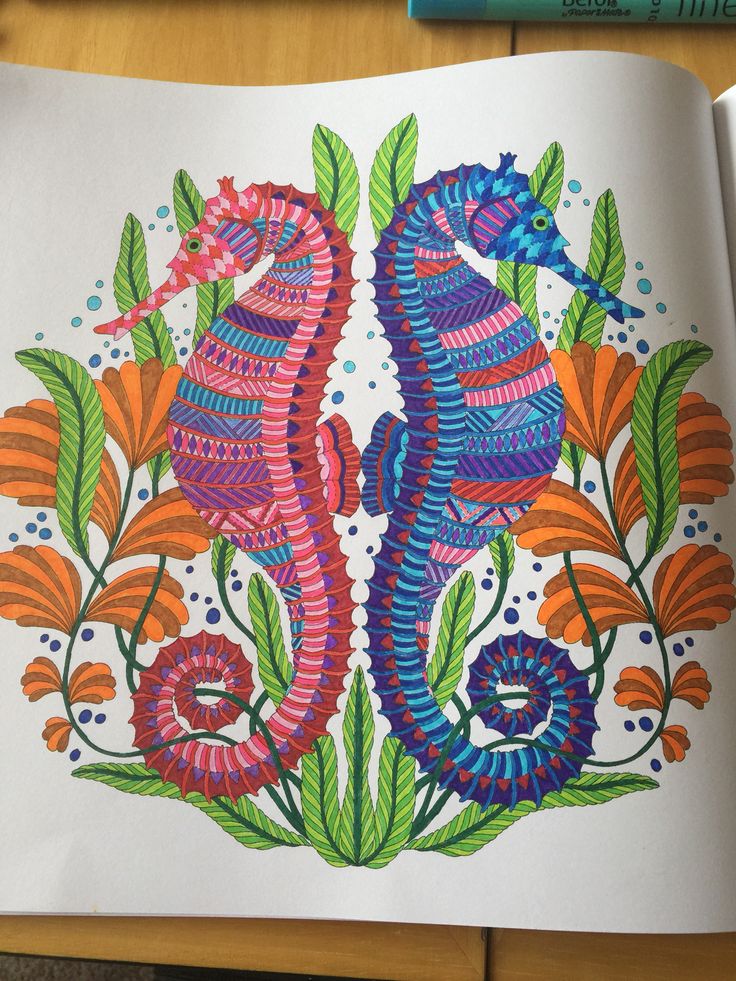Millie Marotta Sea Horse Tropical Wonderland Coloring BooksColouringAdult ColoringSeahorsesBeach DrawingZen ArtJohanna BasfordArt PopAnimal Kingdom