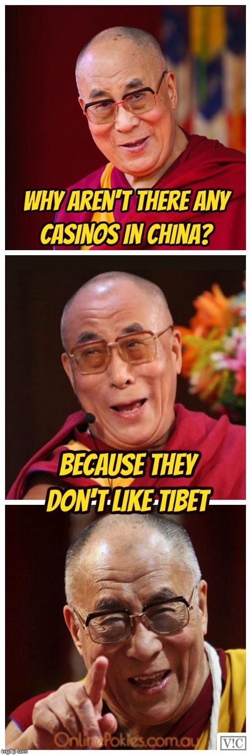 dalai lama dog dalai lama dog