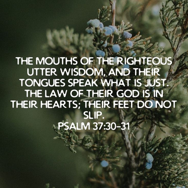 Psalms 37 30 31 The Mouths Of The Righteous Utter Wisdom And Their psalms-37-30-31-the-mouths-of-the-righteous-utter-wisdom-and-their