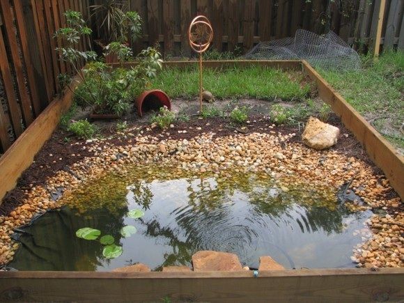What You Should Know About Eastern Box Turtles Terrapene Carolina What You Should Know About Eastern Box Turtles Terrapene Carolina Turtle Habitat Aquatic Pet
