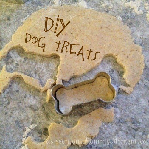 What To Do With Leftover Canned Dog Food What To Do With Leftover Canned Dog Food