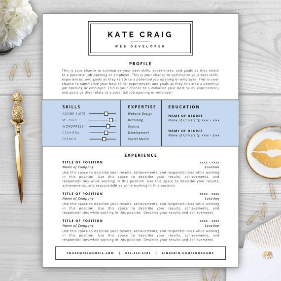 best looking resume ever