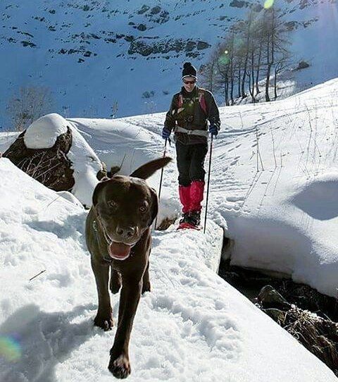 Buongiorno a tutti! E voi come lo state passando il weekend? Foto di: @danieleb...