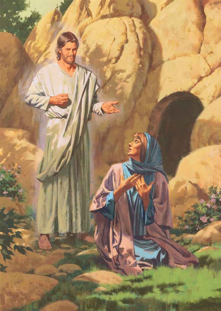 Jesus and shemales