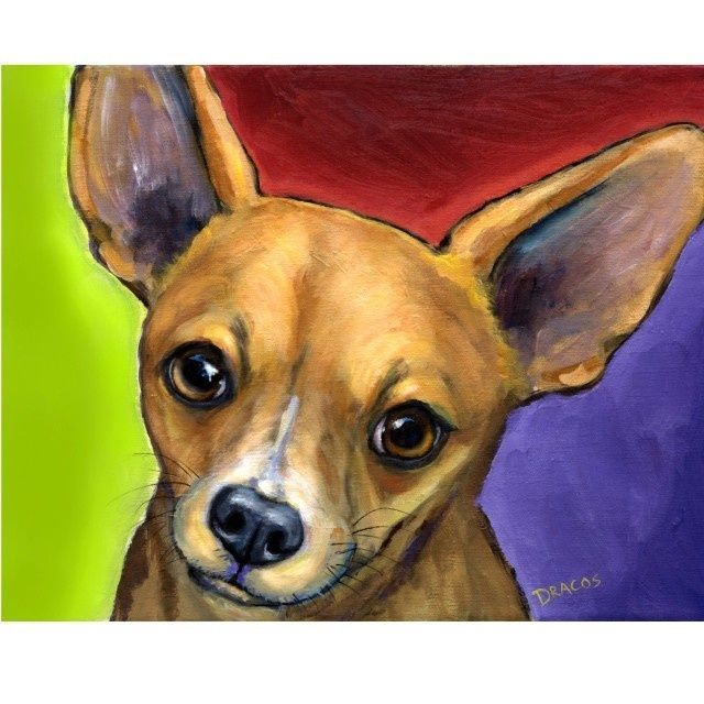 Chihuahua On Bright Background Dog Art 8x10 Print By Dottiedracos