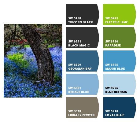 Color Combinations With Blue 115 best blue-green colour combination images on pinterest | blue Color Combinations With Blue 115 best blue-green colour combination images on pinterest | blue
