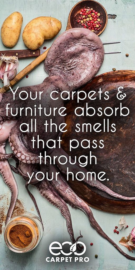 Incredible Carpet Cleaning Results Baking soda on carpet