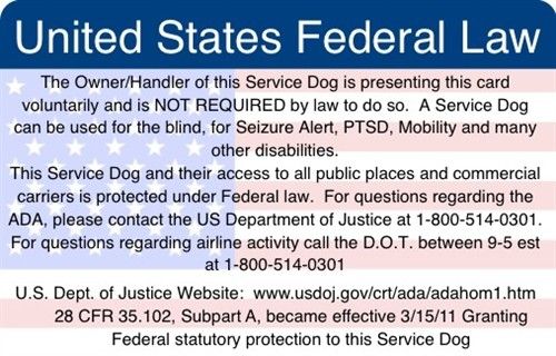 Challenger image for printable service dog certificate Revered image with printable service dog certificate