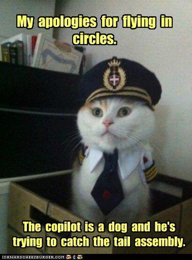 128 best aviation humor images on pinterest aviation humor 8ce117656cfa1669e7ac316278a79407 laser pointer pilots 128 best aviation humor images on pinterest aviation humor,Flying Funny Airplane Meme
