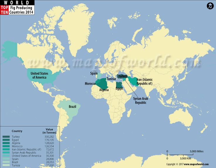 76 best #World Top Ten images on Pinterest Top ten, Countries and - best of world map countries picture 76 best #World Top Ten images on Pinterest Top ten, Countries and - best of world map countries picture