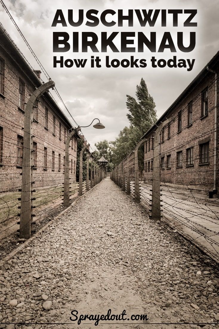 Pin On Ww2 Holocaust
