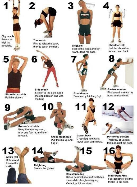 Stretching Bob Anderson Pdf