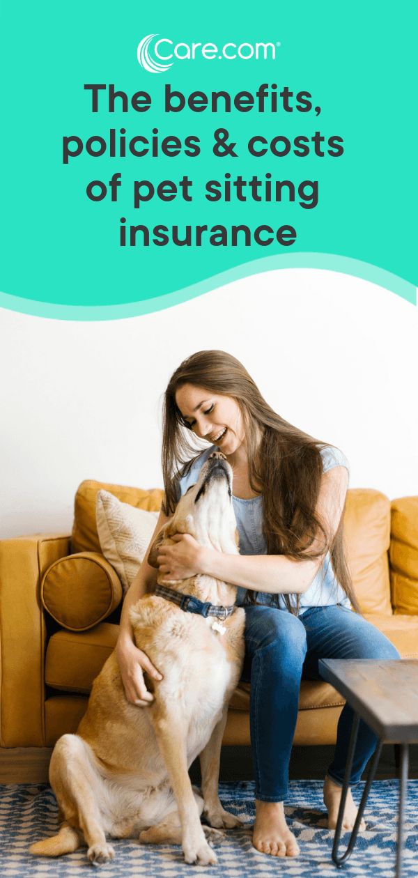Pet Sitting Insurance Benefits Policies And Costs Dog Insurance pet-sitting-insurance-benefits-policies-and-costs-dog-insurance