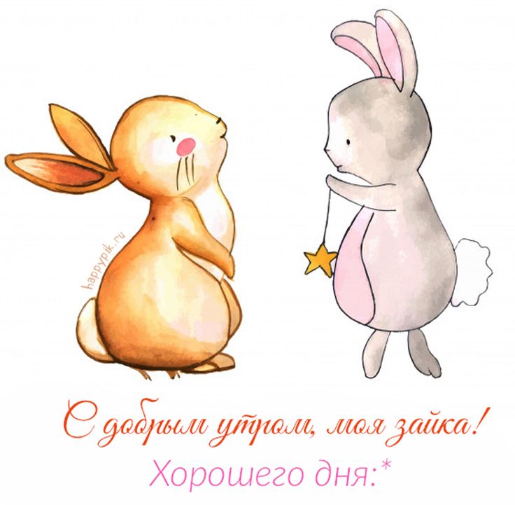 Картинка с добрым утром зайка