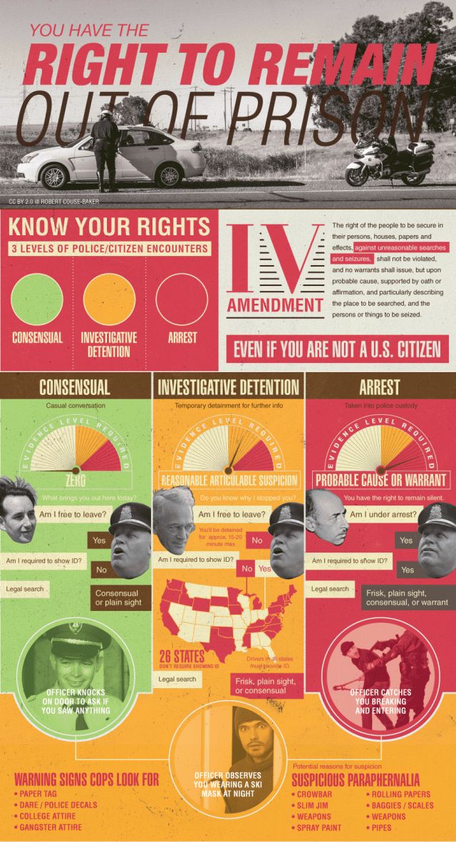 11 best Bail Bond Infographics images on Pinterest Info graphics - bail agent sample resume 11 best Bail Bond Infographics images on Pinterest Info graphics - bail agent sample resume