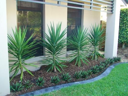 Formal Front Garden Ideas Australia best 25+ front gardens ideas only on pinterest | yard design Formal Front Garden Ideas Australia best 25+ front gardens ideas only on pinterest | yard design