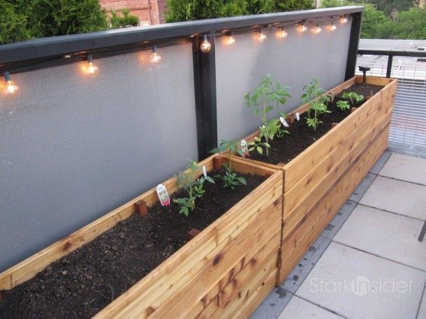 Best 25 Wooden garden boxes ideas on Pinterest ve able planter boxes plans Urban Ve able Gardening Inspiration and how to plans