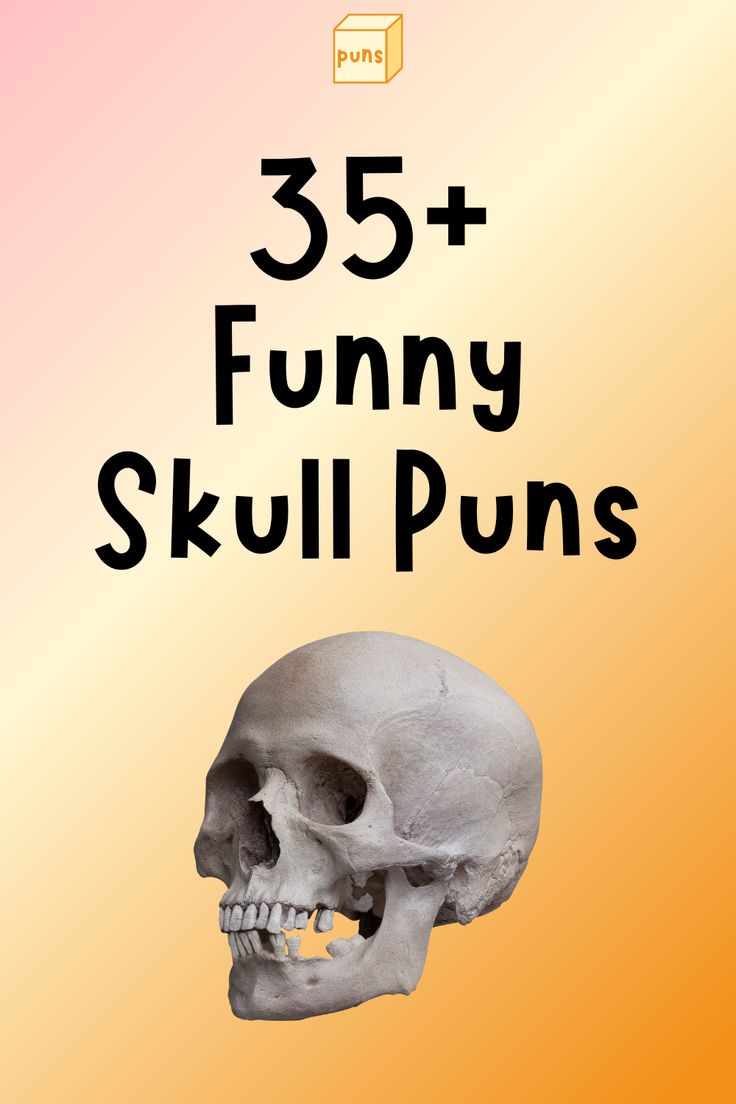 A Skull With The Words 35 Funny Skull Puns On It s Front Cover A Skull With The Words 35 Funny Skull Puns On It s Front Cover