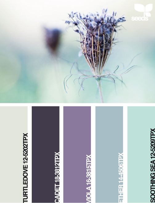 Grey And Purple Bedroom Color Schemes best 25+ purple color palettes ideas on pinterest | color swatches Grey And Purple Bedroom Color Schemes best 25+ purple color palettes ideas on pinterest | color swatches