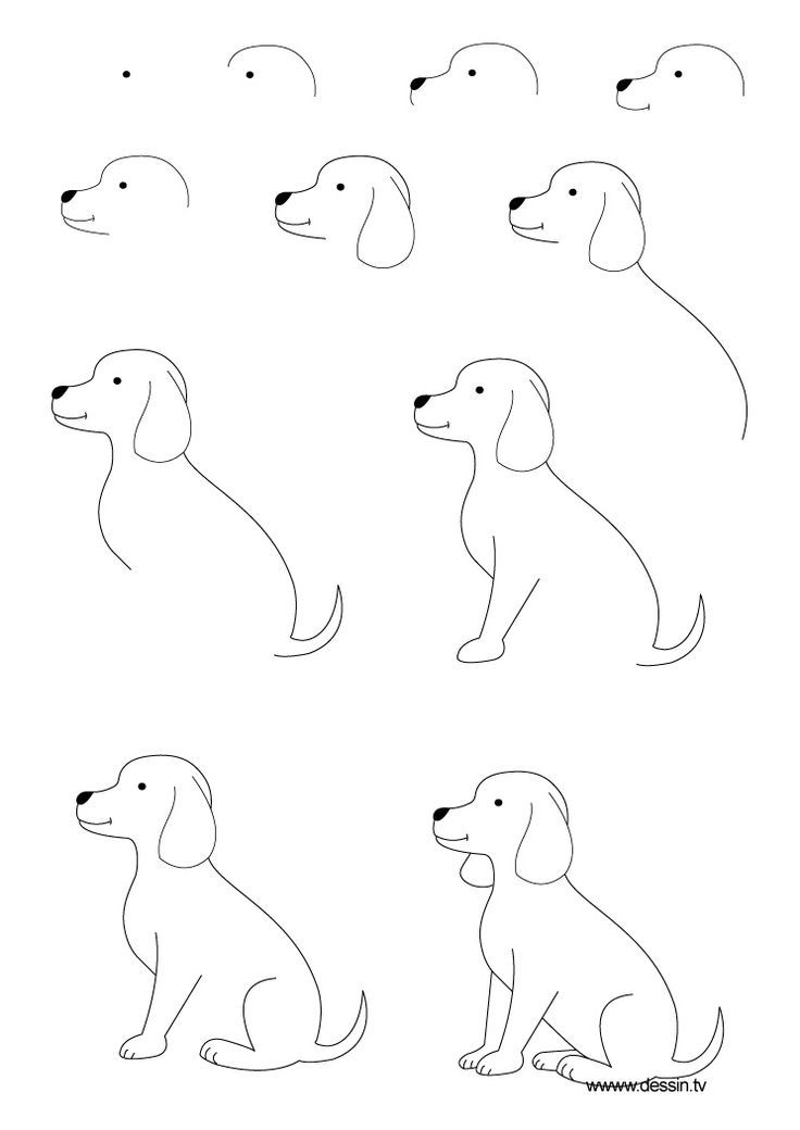 the kids will love this how to draw a dog step by step instructions learn - Drawing Painting For Kids the kids will love this how to draw a dog step by step instructions learn - Drawing Painting For Kids