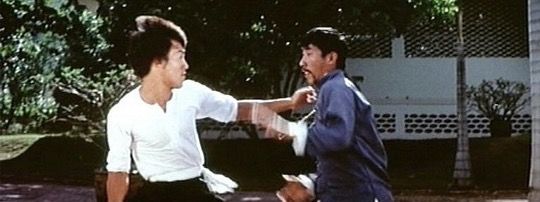 bruce lee thesis statement Bruce lee chuck norris bruce lee master bruce lee martial arts bruce lee body bruce lee movies bruce lee photos thesis statement martial artist kung fu forward this should be a poster on every kids wall. bruce lee thesis statement Bruce lee chuck norris bruce lee master bruce lee martial arts bruce lee body bruce lee movies bruce lee photos thesis statement martial artist kung fu forward this should be a poster on every kids wall.