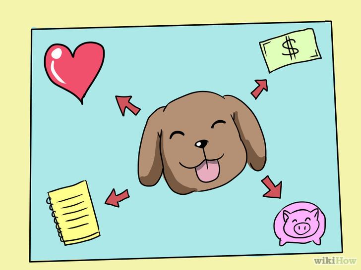 How To Convince Your Parents To Get A Cat Zikrina Blog's